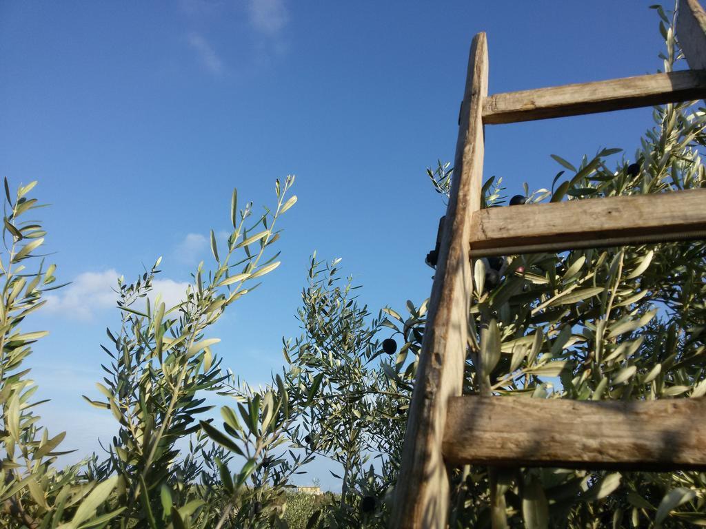 Cambiocavallo Resort Μόντικα Εξωτερικό φωτογραφία